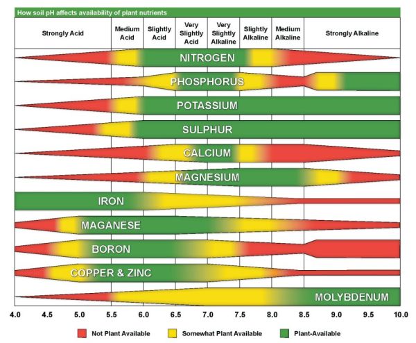 How soil pH affects availability of plant nutrients
