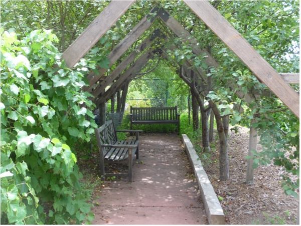 benches under a garden trellis in the shade