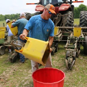 Kris Balkcom pouring peanut seed into a bucket.