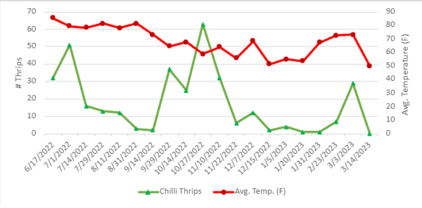 line bar graph depicting the abundance of Chilli thrips in and around nurseries in Mobile, Alabama 2022-2023