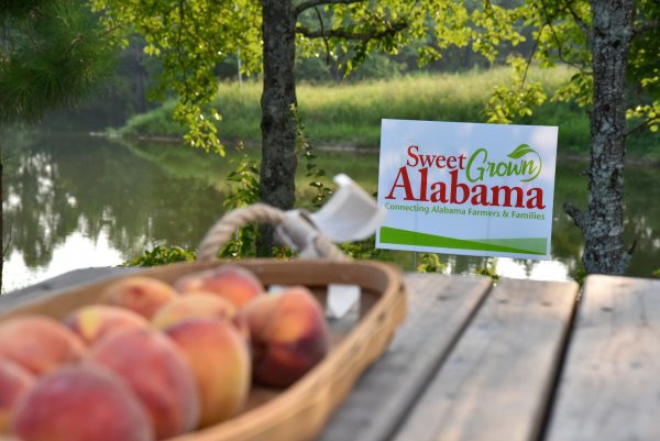 sweet grown alabama sign by a basket of peaces by the lake
