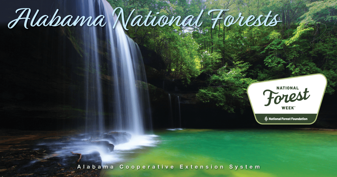 A picture of Upper Caney Creek Falls in Alabama with the words Alabama National Forests.