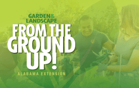 From the Ground Up! Podcast