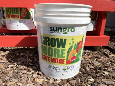 Grow More Give More container garden bucket