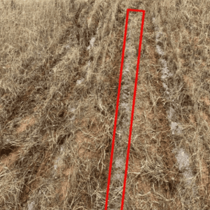 Figure 2. Banding fertilizer 3 to 4 inches away from the seedbed.