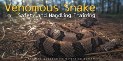 Venomous Snake Safety and Handling Training