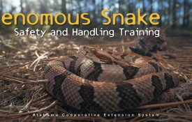 Venomous Snake Safety and Handling Training