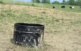 A black supplement tub in a pasture with cattle in the background.