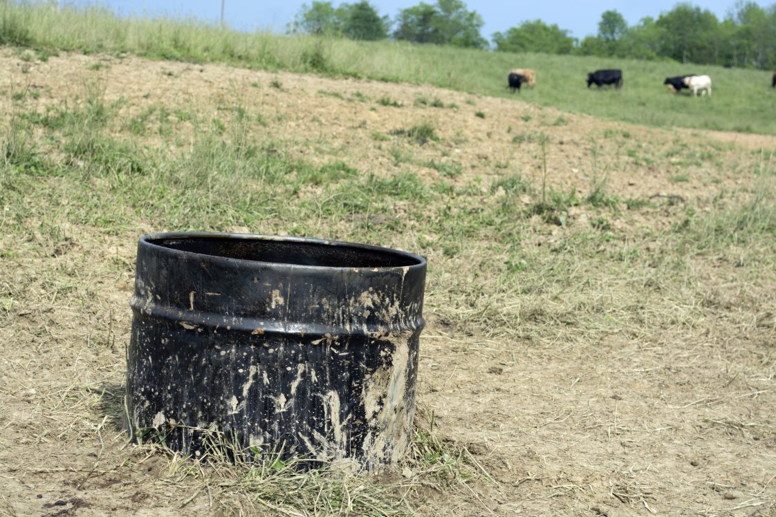 A black supplement tub in a pasture with cattle in the background.
