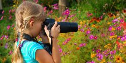 A young girl with pigtails taking a picture of wildflowers with a camera.