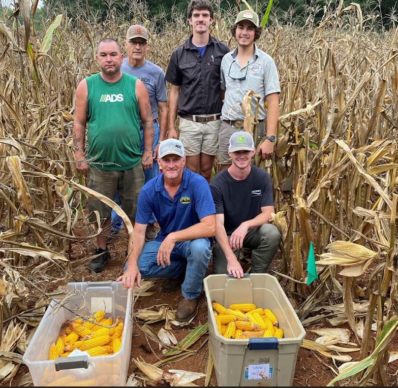 Figure 6. Henderson Farms helped harvest a replicated corn fertility trial that has aided in making wise fertility decisions to increase yields and profits.