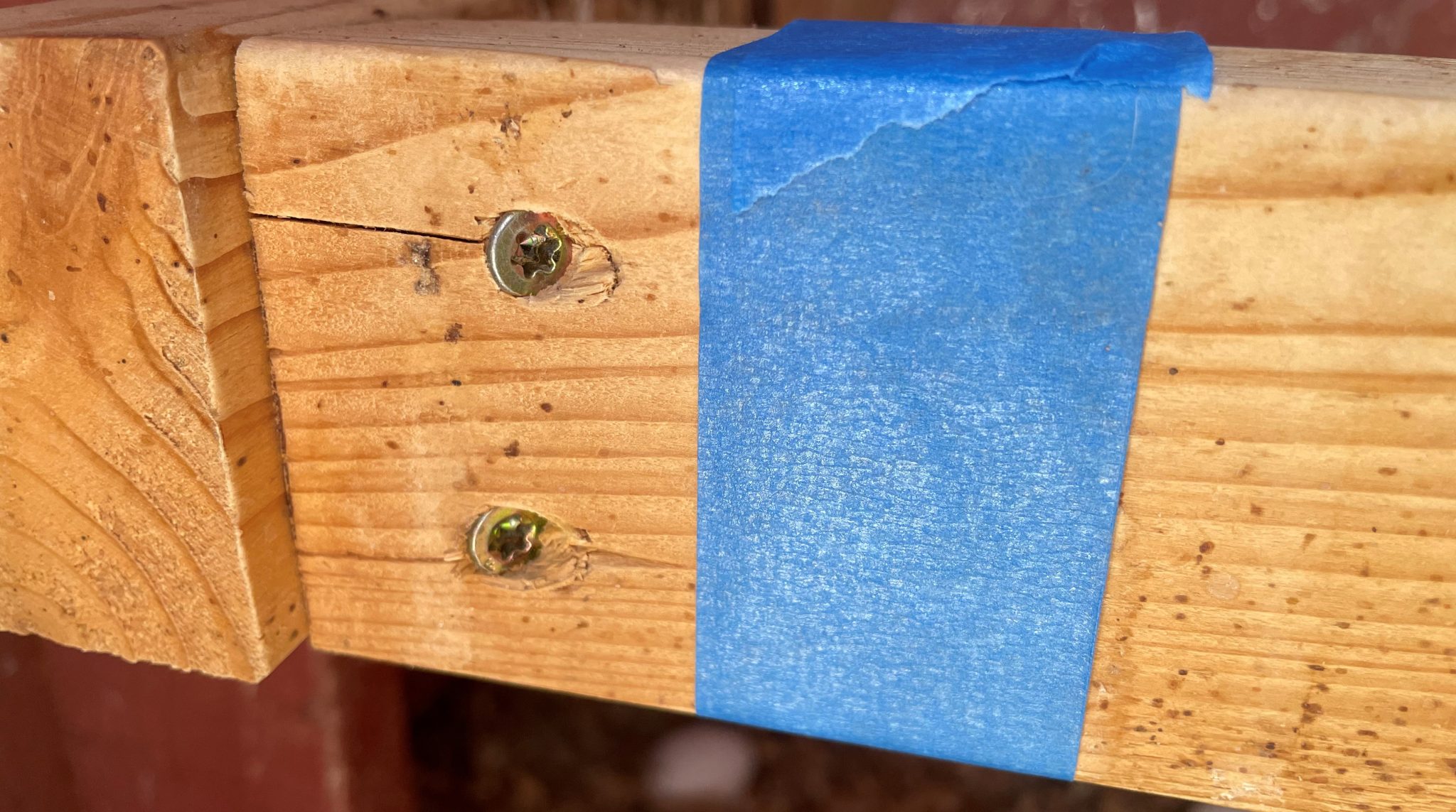 Poultry Red Mites Identification, Prevention, and Treatment Alabama