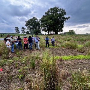 Figure 5. Auburn University weed science students meet industry professionals and are trained in herbicide symptomatology and recommendations.