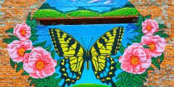 A butterfly mural that was painted at the renovated terrace in Linden, Alabama.