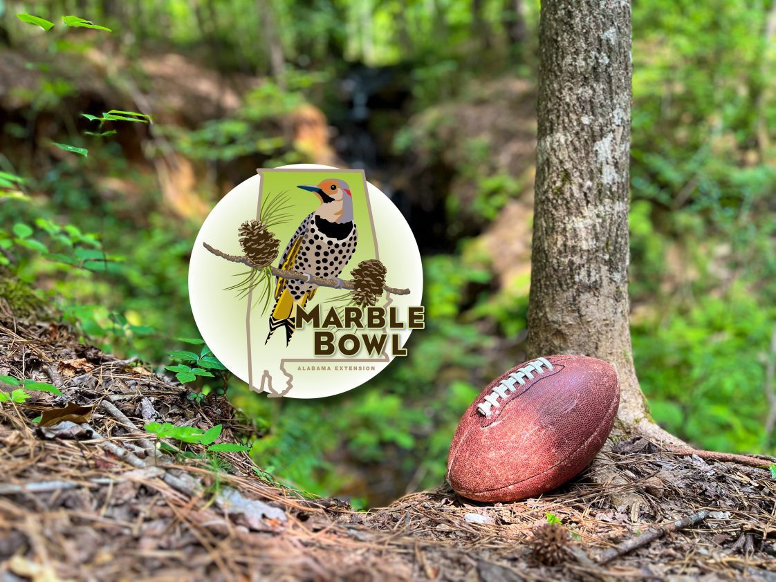 A football resting against a tree in a forest along with the Marble Bowl logo.