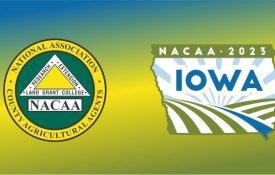 NACAA Logo