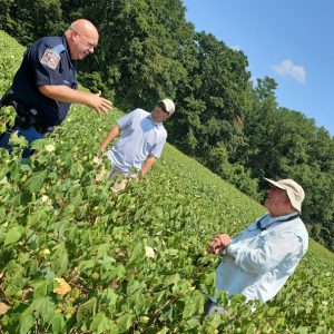 Figure 3. Scott Graham and Ron Smith visit a cotton grower in west Alabama.