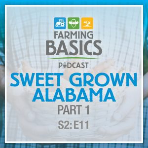 Farming Basics Podcast: Sweet Grown Alabama Part 1