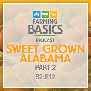 Farming Basics Podcast: Sweet Grown Alabama Part 2