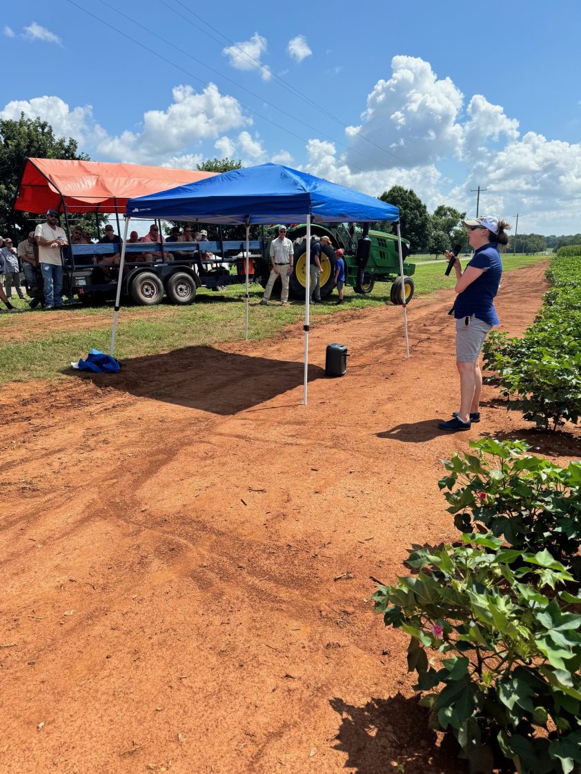 Figure 8. Amanda Strayer-Scherer speaks at a field day hostedat the Tennessee Valley Regional Research and Extension Center.