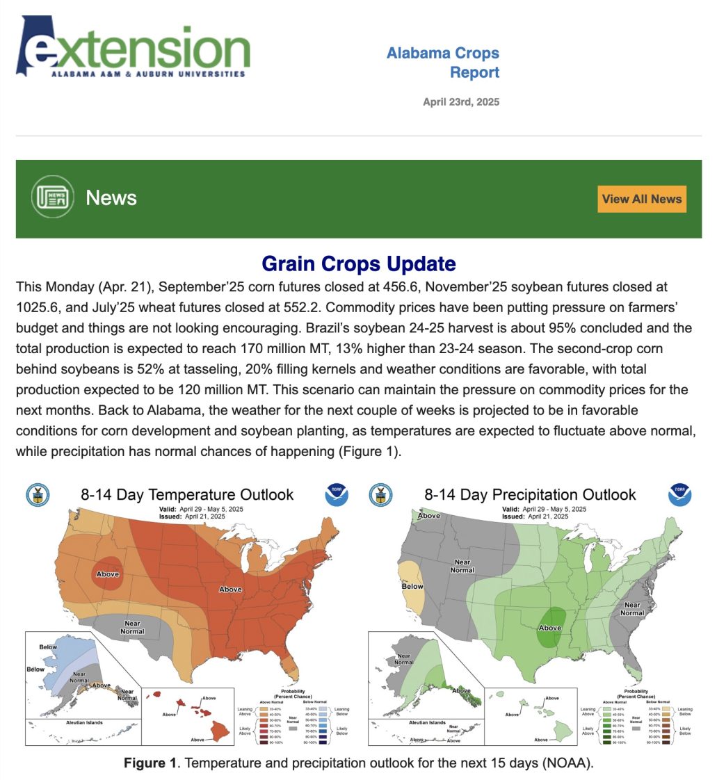 Figure 9. Screenshot of recent Alabama Crops Report Newsletter.
