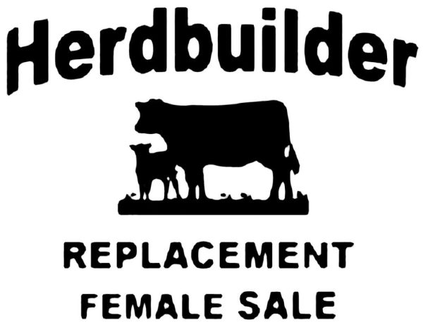 Herdbuilder Replacement Female Sale logo