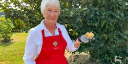 Master Gardener, Jean Szabo, holds a pear grown in their garden at the Crump Community Center.