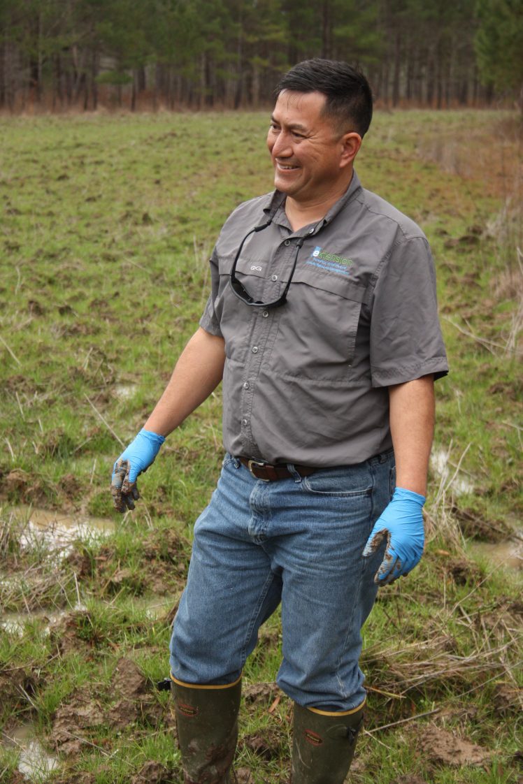 Alabama Extension Wildlife Sciences Professor Mark Smith conducts wild pig research.