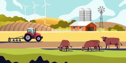 An illustrated farming scene with cows and a tractor.