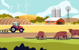 An illustrated farming scene with cows and a tractor.