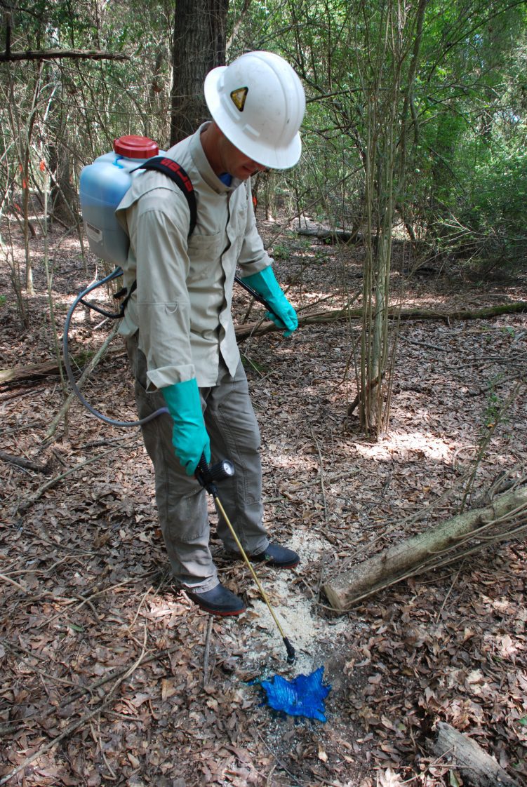 Figure 2. Safety glasses and herbicide-resistant gloves are a must for cut stump treatments. A hard hat is recommended when cutting large shrubs or trees.