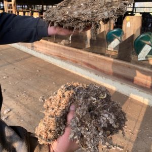 Figure 4. Gin byproduct (baled versus loose).