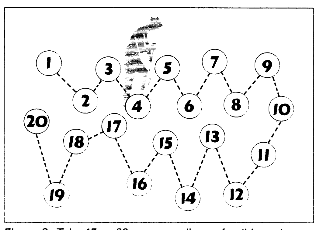 Figure 5. Take 15 to 20 cores or slices of soil in a zig-zag pattern from throughout the sampling area.