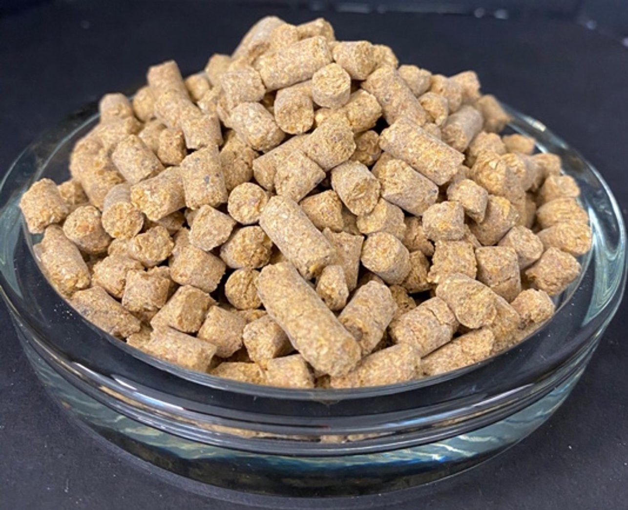 A pile of corn gluten feed sitting in a shallow glass dish.