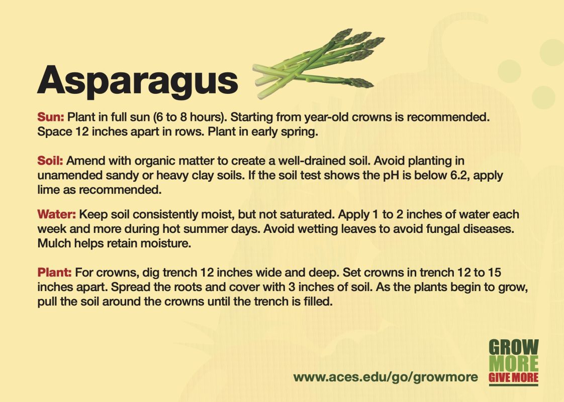 Grow More Asparagus growing card.