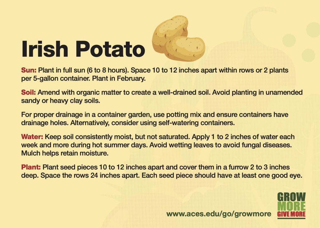 Grow More Irish Potato growing card