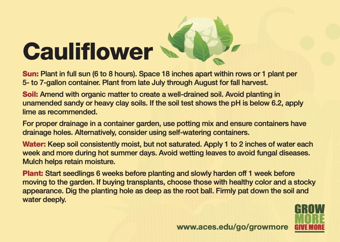 The Grow More Cauliflower growing card.
