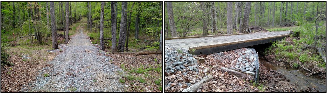 Figure 10. Forest road bridge stream crossing. Correct: Rock on the approaches, gabions, and vegetation protecting the stream banks.
