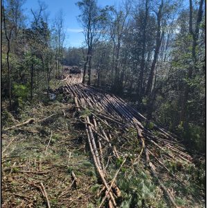 Figure 12. Skid trail log crossing. Correct: Skidder was able to move wood across the stream with no erosion issues. (Photo credit: Jason Harrell, PLM Logger).