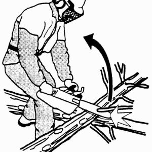 Figure 24. Kickbacks happen suddenly and can cause serious injury. Always beware of the chainsaw tip. (Photo credit: International Society of Arboriculture, Bugwood.org)