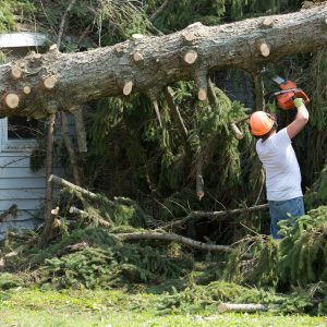 Figure 19. Never operate a saw over shoulder height. You have less control, are more prone to kickbacks, and will physically tire faster.