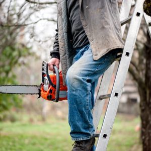 Figure 21. Do not operate saws from a ladder, on roofs, or on top of trees. These are unstable platforms that can shift and move when trees are cut.