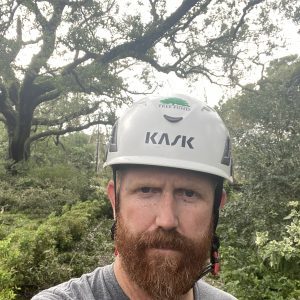 Figure 15. Days or weeks after storms, hanging limbs or poorly attached limbs can fall and strike cleanup crews. Even small limbs can cause life-threatening injuries. All workers must wear a hard hat.