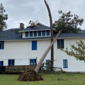 Figure 16. Large trees on structures often require large equipment to safely remove them.