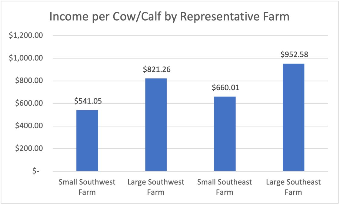 A chart that shows the income per cow/calf by the representative farm.