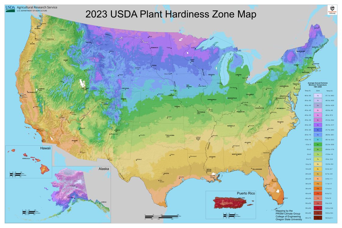2023 USDA Plant Hardiness Zone Map showing a color map of the United States.