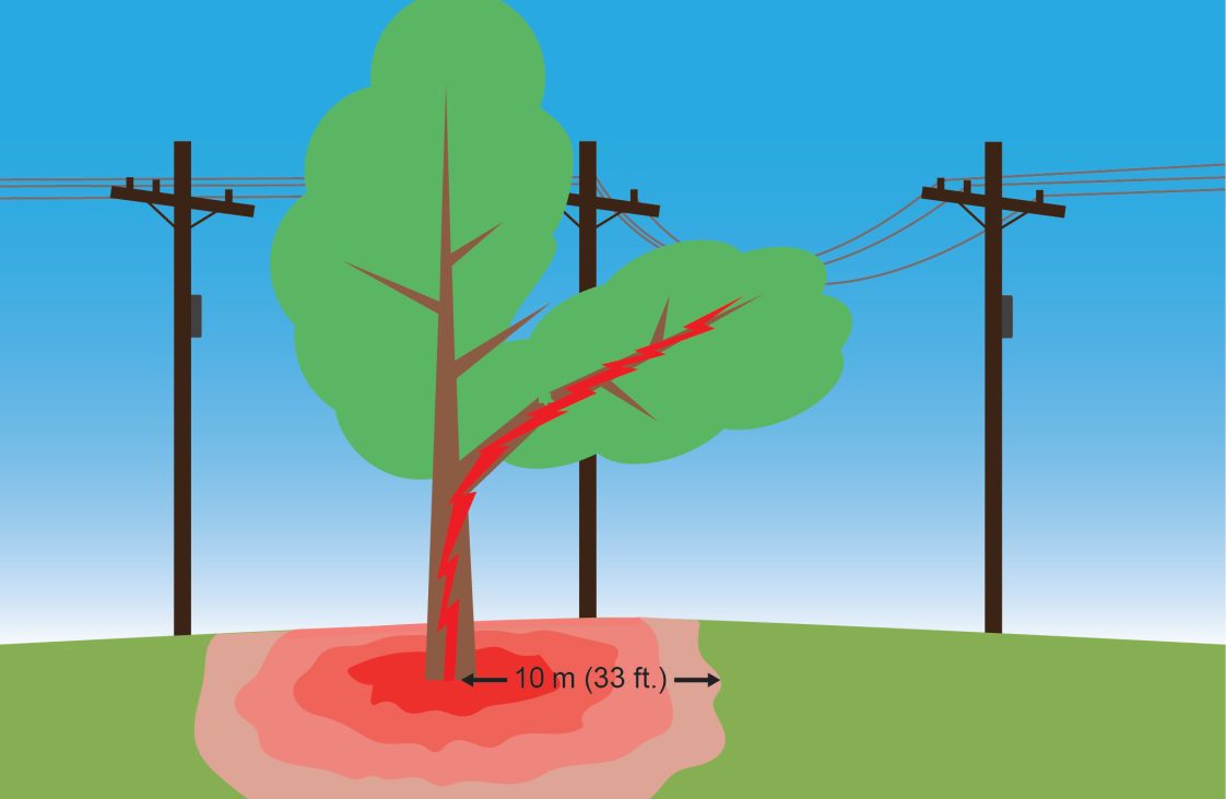 Figure 3. Do not approach trees that are in contact with distribution or high-voltage transmission lines. The tree and the ground can be energized. Stay at least 33 feet away.