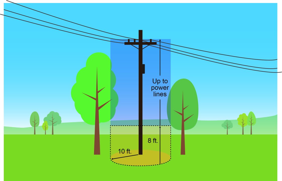 Figure 4. Do not work on trees or branches within 10 feet of power lines.