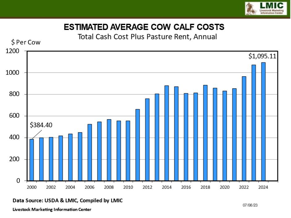 Managing Your Cowherd Strategies to Lower CowCalf Production Costs