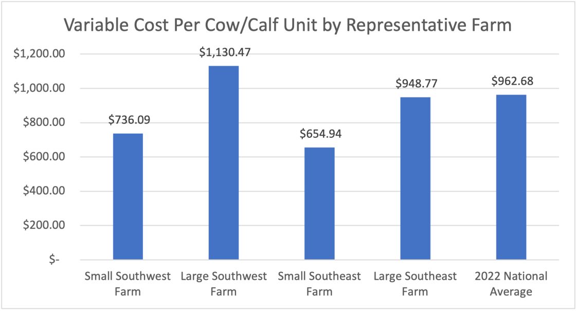 A chart that shows the variable cost per cow/calf unit by the representative farm.